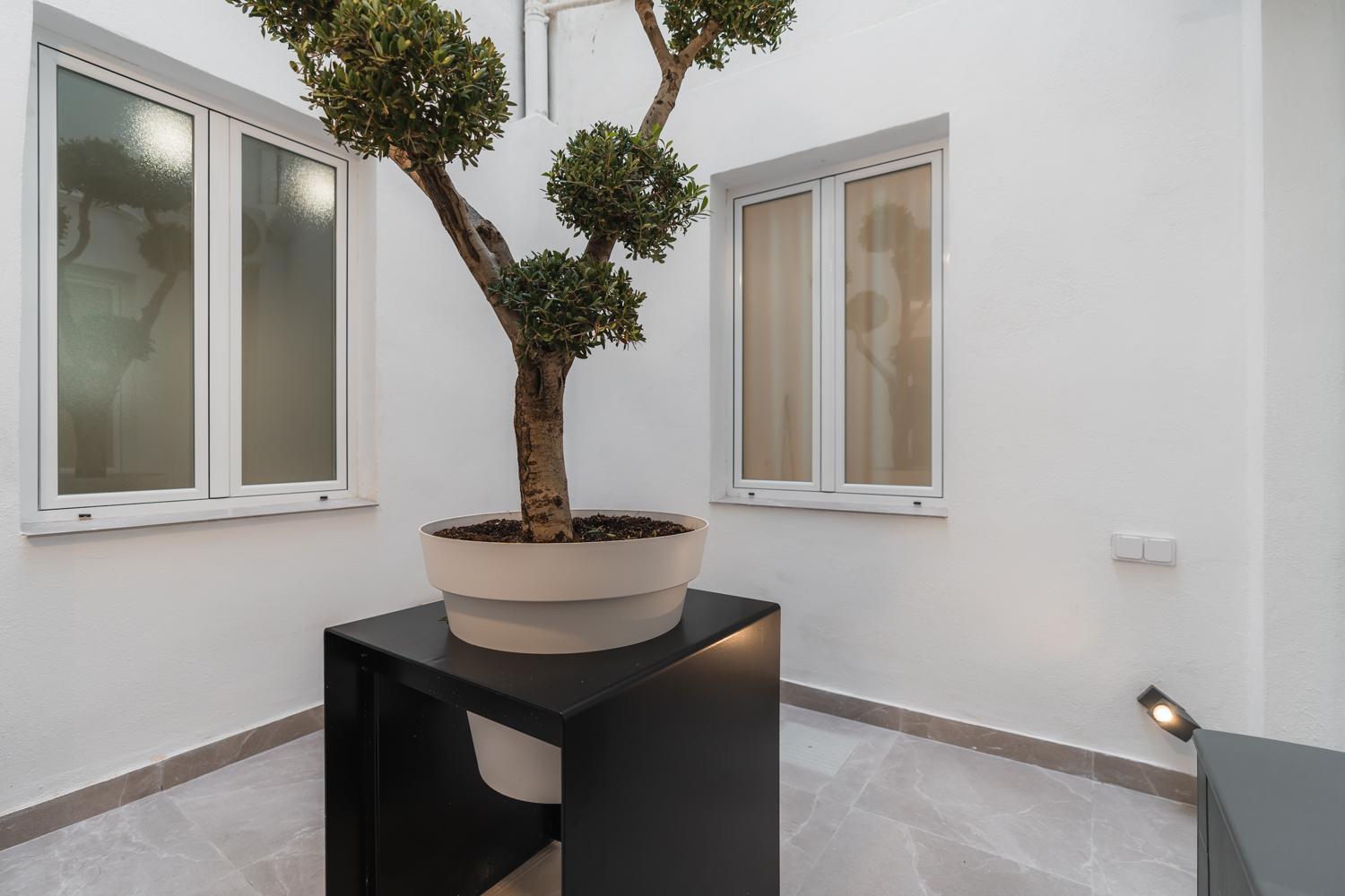 Tuguest Buensuceso Apartment Granada Dış mekan fotoğraf